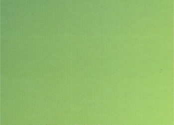 Homeopathische huis-reisapotheek