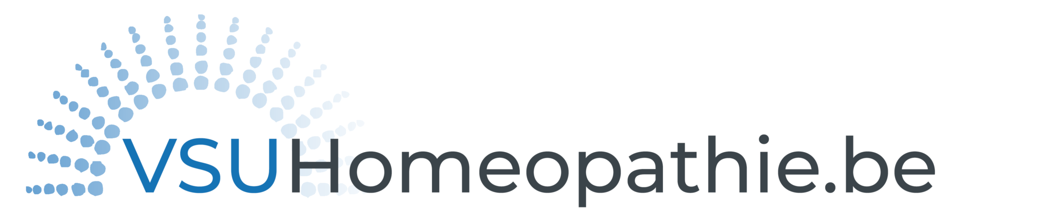 VSU_logo_2019-sun2-2048x410 VSU logo 2019 sun2 2048x410 1